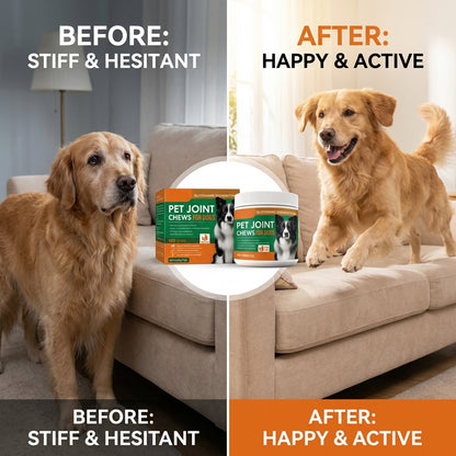 Help Your Dog Move Like Their Old Self Again