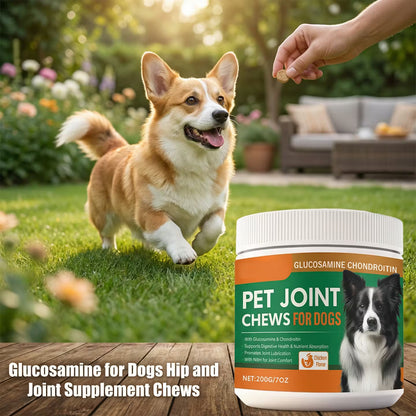 Help Your Dog Move Like Their Old Self Again